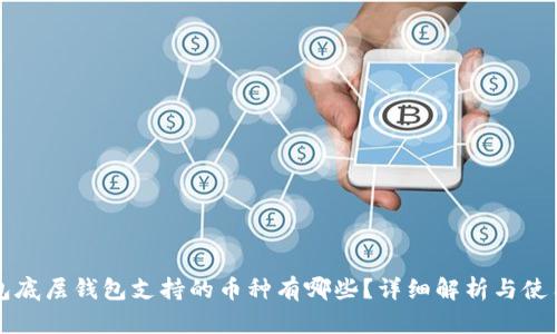 TP钱包底层钱包支持的币种有哪些？详细解析与使用指南