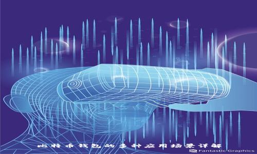 比特币钱包的多种应用场景详解