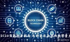 : 以太坊ERC20钱包的全指南