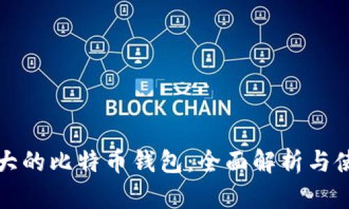 全球最大的比特币钱包：全面解析与使用指南
