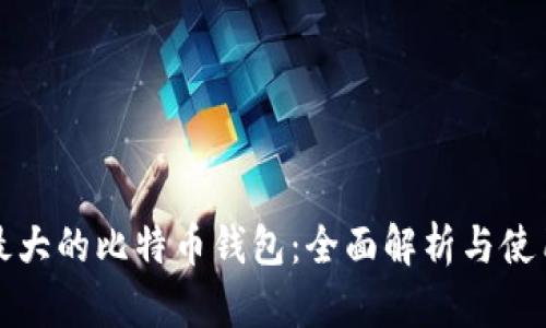全球最大的比特币钱包：全面解析与使用指南