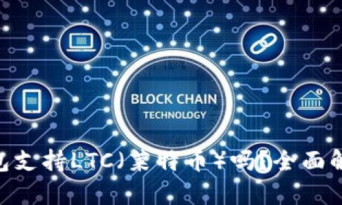 imkey硬件钱包支持LTC（莱特币）吗？全面解析与使用指南