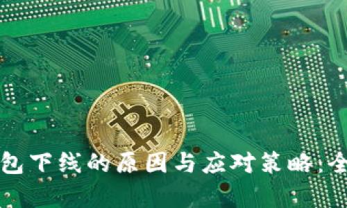 比特币钱包下线的原因与应对策略：全方位解析
