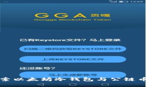深入探索以太坊冷钱包与公链币的未来