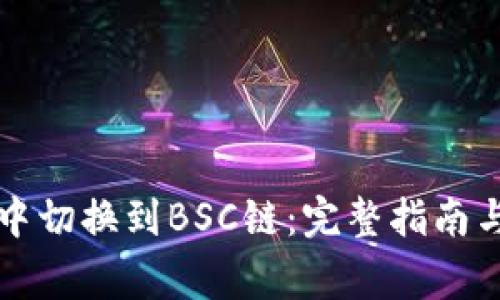 如何在TP钱包中切换到BSC链：完整指南与常见问题解答