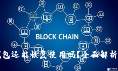 被盗的TP钱包还能恢复使用吗？全面解析与解决方案