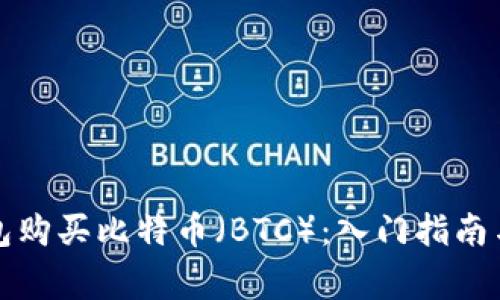 如何通过TP钱包购买比特币（BTC）：入门指南与常见问题解答