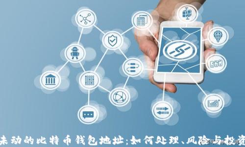 
十年未动的比特币钱包地址：如何处理、风险与投资机遇