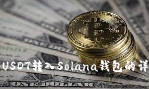 如何将USDT转入Solana钱包的详细指导