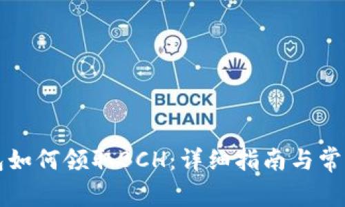 比特币钱包如何领取BCH：详细指南与常见问题解答