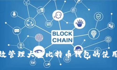 如何有效管理大型比特币钱包的使用与安全