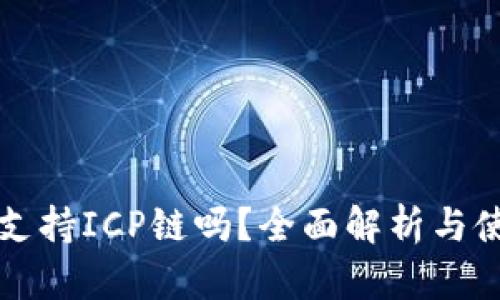 TP钱包支持ICP链吗？全面解析与使用指南