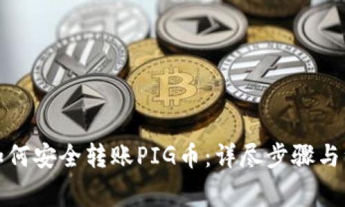 TP钱包如何安全转账PIG币：详尽步骤与注意事项