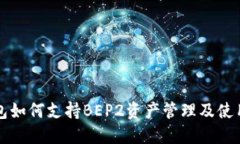 TP钱包如何支持BEP2资产管