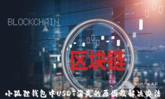 小狐狸钱包中USDT消失的原因及解决办法
