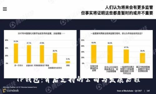 TP钱包：背后支持的公司与发展历程