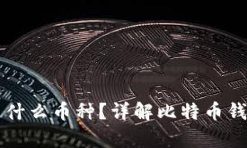 比特币钱包存放的是什么币种？详解比特币钱包的工作原理与功能