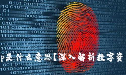 TP钱包的DApp是什么意思？深入解析数字资产管理的未来