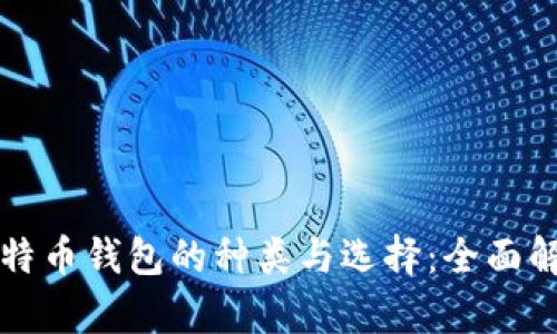 比特币钱包的种类与选择：全面解析