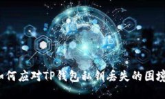 如何应对TP钱包私钥丢失的
