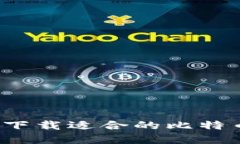 如何选择和下载适合的比