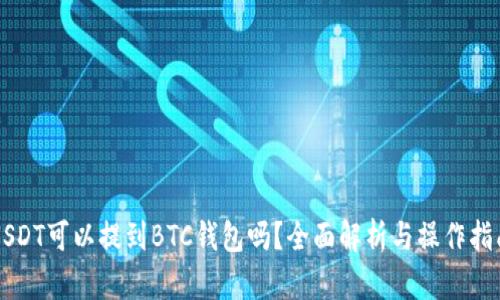 USDT可以提到BTC钱包吗？全面解析与操作指南