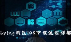 bying钱包iOS下载流程详解