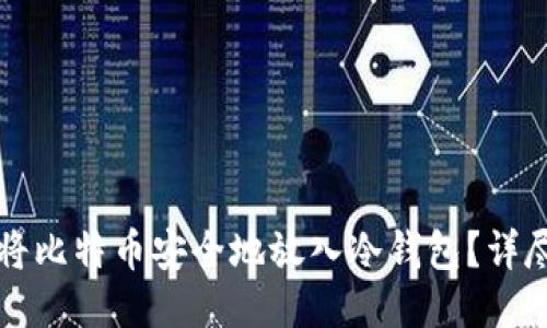 如何将比特币安全地放入冷钱包？详尽指南