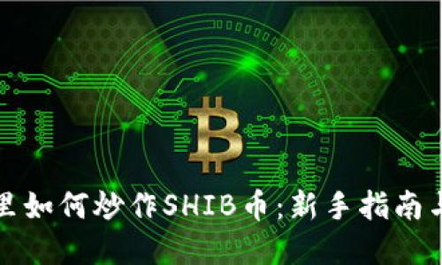 在TP钱包里如何炒作SHIB币：新手指南与实战技巧
