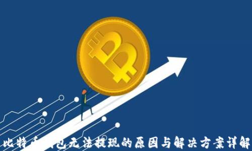 
比特币钱包无法提现的原因与解决方案详解