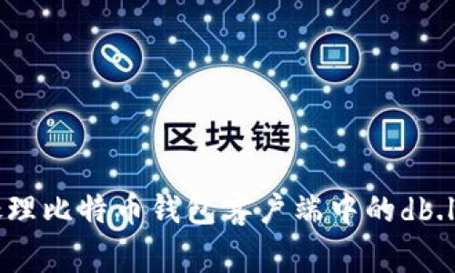 如何处理比特币钱包客户端中的db.log文件