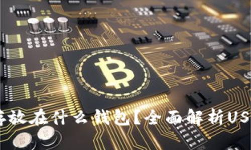 USDT可以存放在什么钱包？全面解析USDT钱包选择